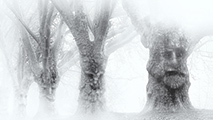 images/landscape/land01©robert-skrobich.jpg
